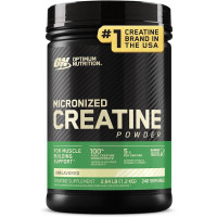 Мікронізований креатин Optimum Nutrition Creatine Powder, 1200 грам