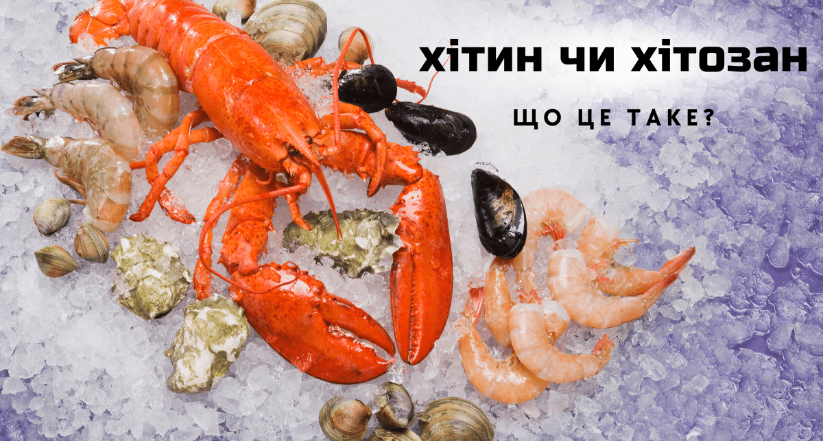 З нашого блогу